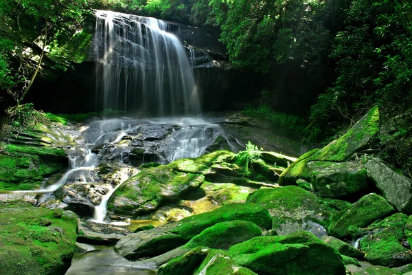 Chute d'eau forêt tropicale — Photo
