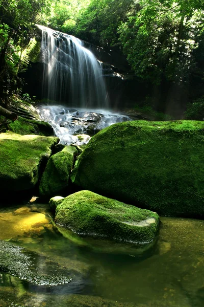 Cascada de selva tropical —  Fotos de Stock