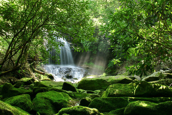 A hidden waterfall in a dense rain forest, with mist being lit up by sunlight and mossy rocks in the foreground