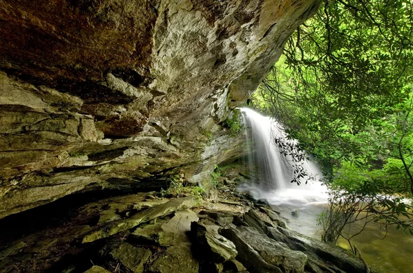 Hidden forest waterfall — Stock Photo, Image