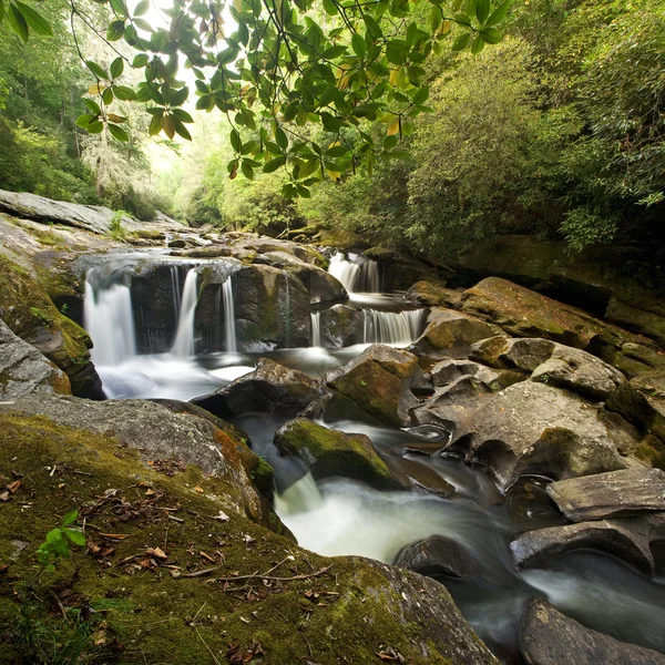 Tät skog vattenfall — Stockfoto