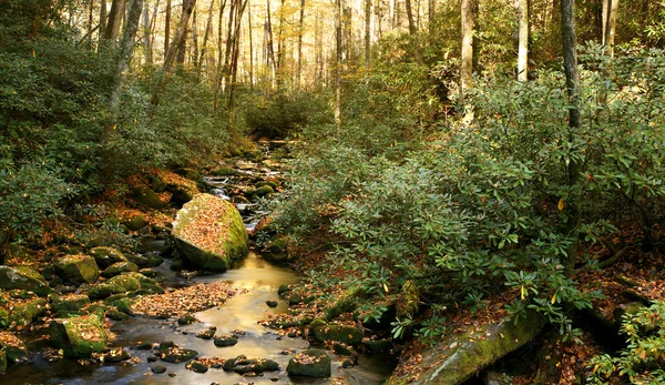 Ruisseau forestier en automne Images De Stock Libres De Droits