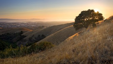 Beautiful view of East Bay and San Francisco Bay in summer clipart