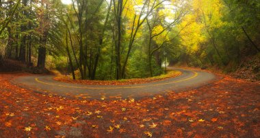 Mountain road in autumn clipart