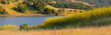 California lake and hillside in summer clipart