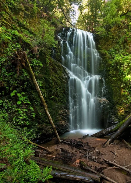 Berry Creek Falls, Big Basin, CA — Stock Photo, Image