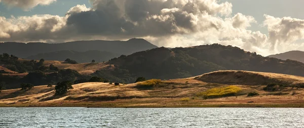 stock image California hillside in summer