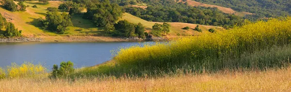 加州湖和夏季的山坡 — 图库照片
