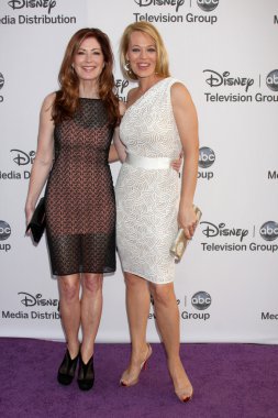 Dana Delany, Jeri Ryan