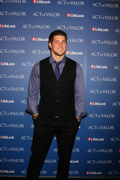 stock image Tim Tebow