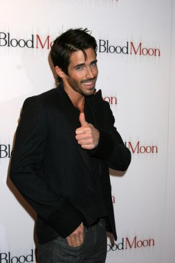 brandon beemer