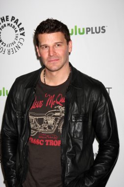 David Boreanaz