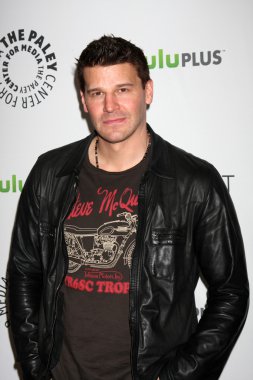 David Boreanaz