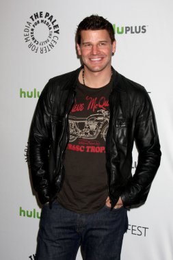 David Boreanaz