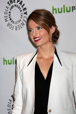 Stana Katic