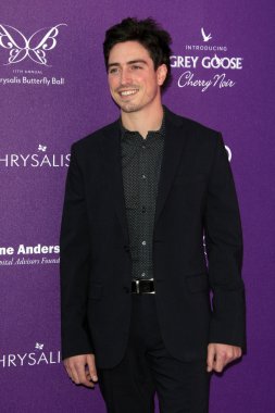 Ben Feldman