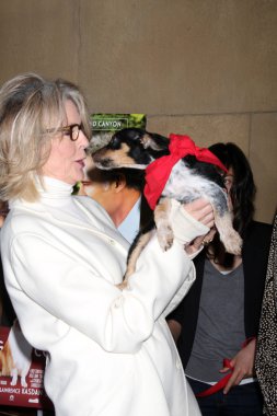 evlatlık Diane keaton ve kurtarma köpekleri