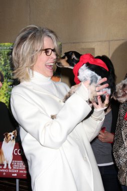 evlatlık Diane keaton ve kurtarma köpekleri