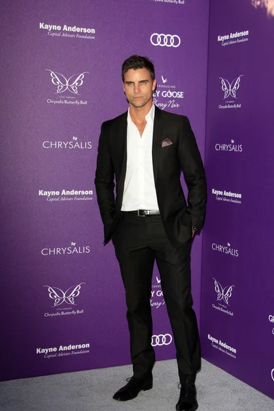 Colin Egglesfield — Foto de Stock