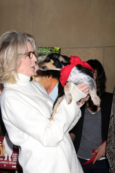 Diane Keaton e i cani da salvataggio in adozione — Foto Stock