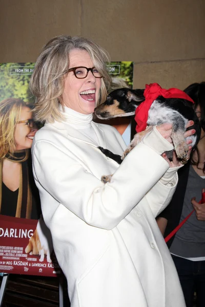 Diane Keaton e cães de resgate para adoção — Fotografia de Stock