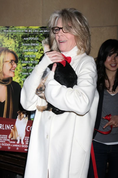 Diane Keaton og Rescue hunde op til vedtagelse - Stock-foto
