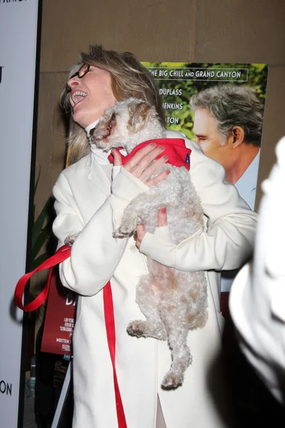 Diane Keaton dan anjing penyelamat untuk diadopsi — Stok Foto