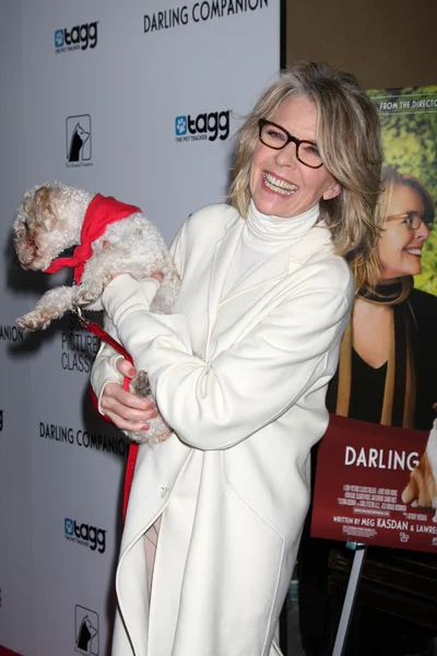 Diane Keaton and Rescue dogs up for adoption — Stock Photo, Image