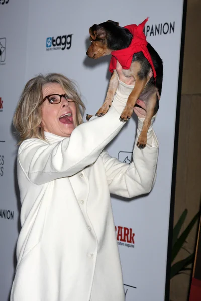 Diane Keaton et Rescue chiens prêts pour l'adoption — Photo