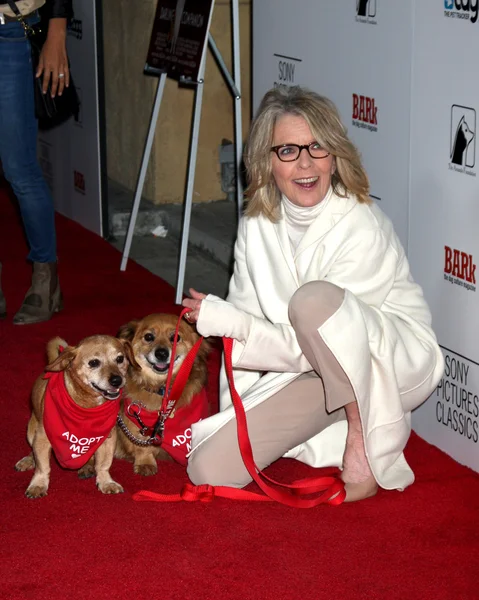 Diane Keaton and Rescue dogs up for adoption — Stock Photo, Image