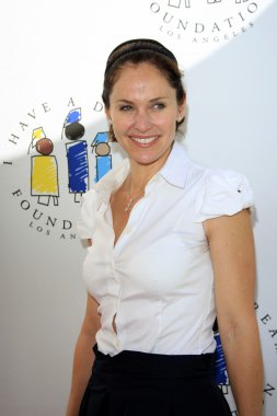 Amy Brenneman