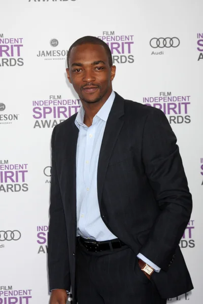 stock image Anthony Mackie