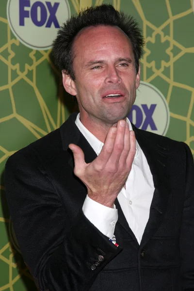 Walton Goggins