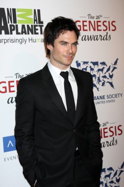 Ian Somerhalder