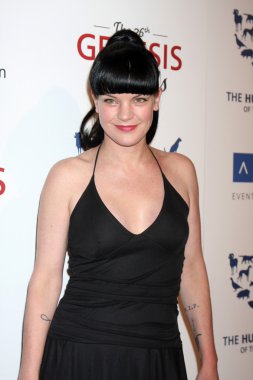 Pauley Perrette