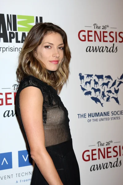 Stock image Dawn Olivieri