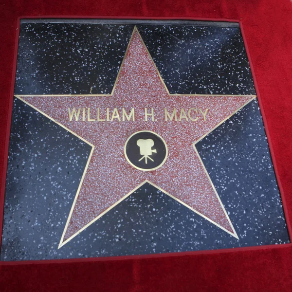 William H Macy star — Stock Photo, Image