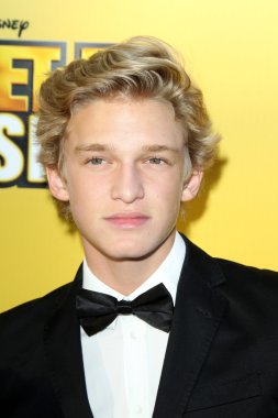 Cody Simpson