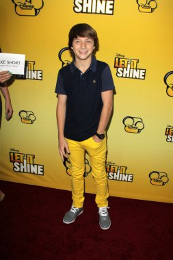 Jake kısa