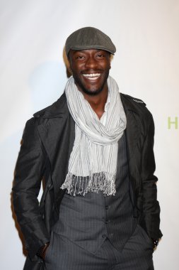 Aldis Hodge