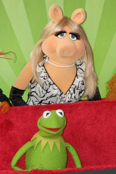 Jůlie, Kermit — Stock fotografie