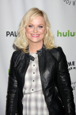 Amy Poehler