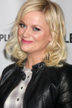 Amy Poehler