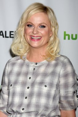 Amy Poehler