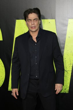 Benicio Del Toro