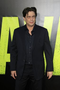 Benicio Del Toro