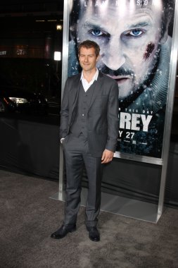 james badge dale