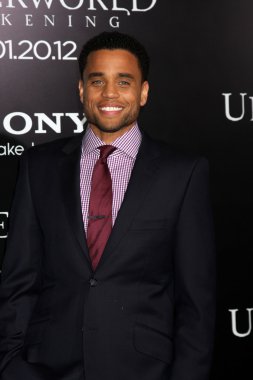 Michael Ealy