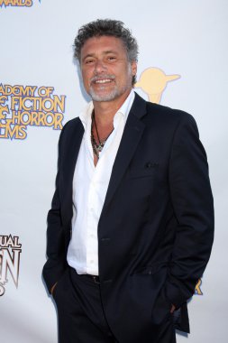 Steven Bauer