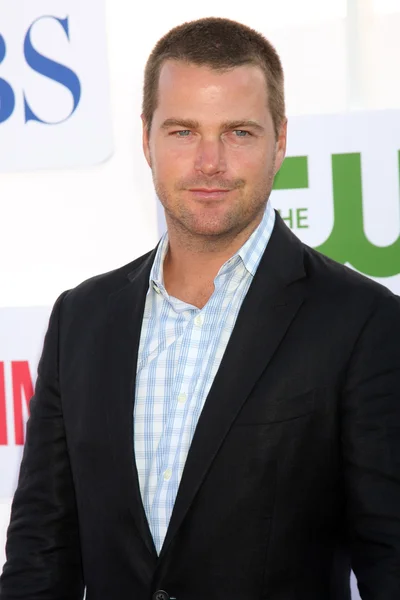 Chris O'Donnell — Stock Photo, Image